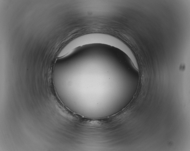 X0000112020409200908241520