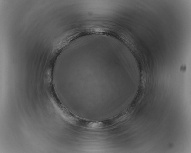 X0000112020410200908241520