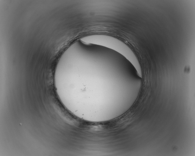 X0000112020411200908241520