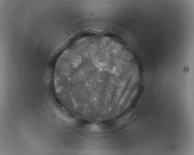 X0000112020412200908241520