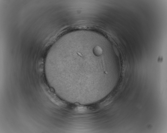 X0000112020413200908241520