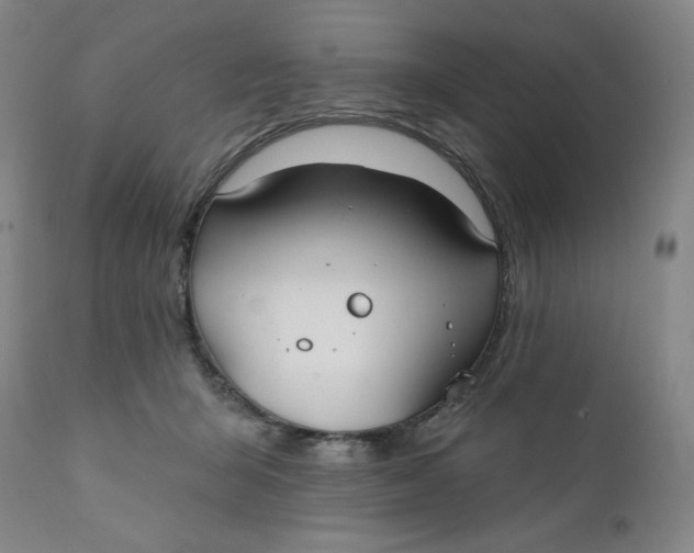 X0000112020415200908241520