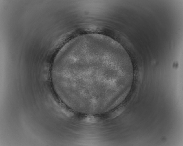 X0000112020416200908241520