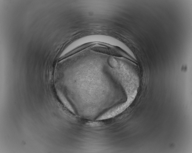 X0000112020417200908241520