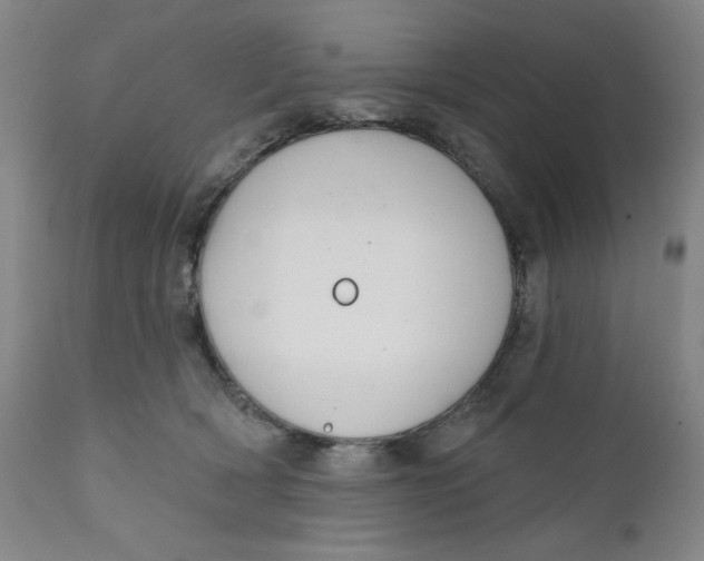 X0000112020418200908241519