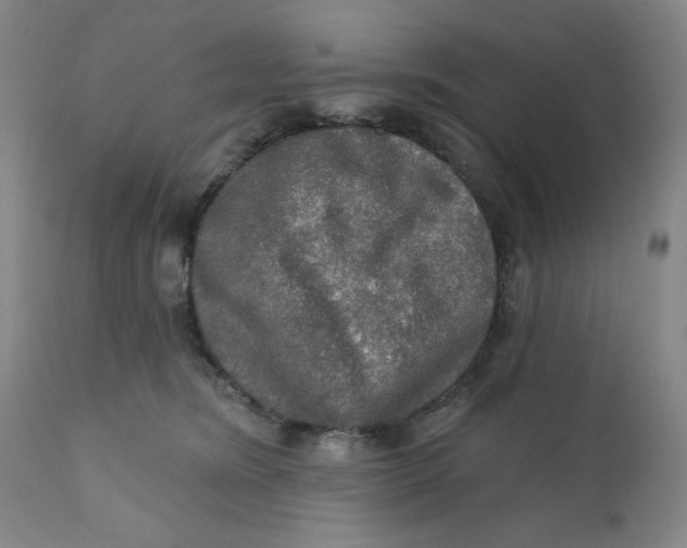 X0000112020420200908241519