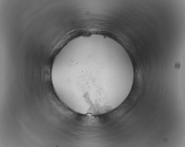 X0000112020421200908241519