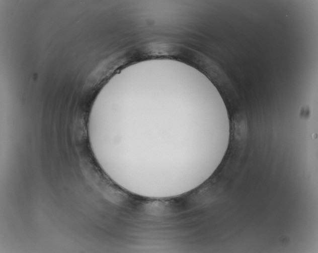 X0000112020422200908241519