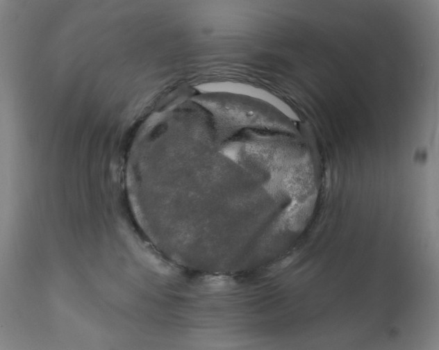 X0000112020424200908241519