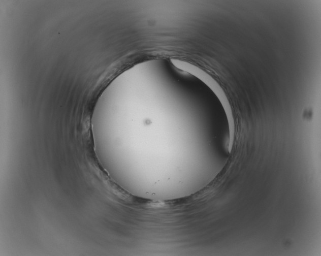 X0000112020425200908241519