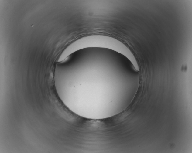 X0000112020427200908241519