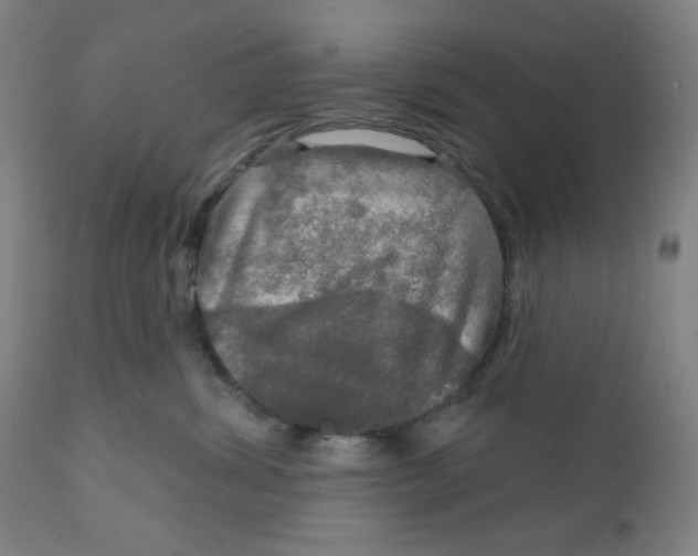 X0000112020428200908241519