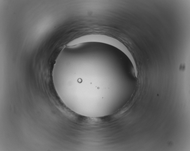 X0000112020429200908241519