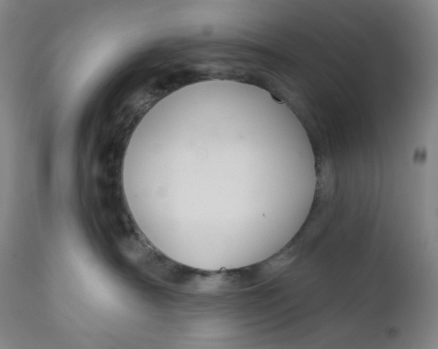 X0000112020430200908241519