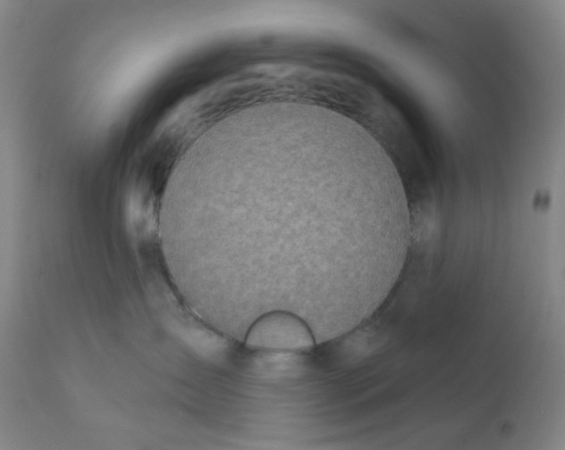 X0000112020431200908241519