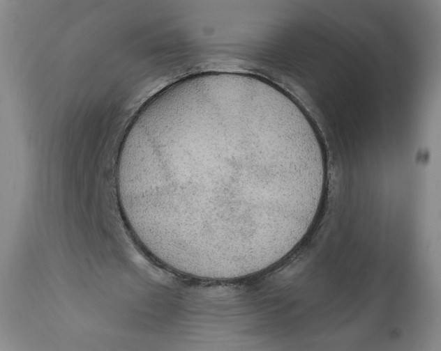 X0000112020433200908241518