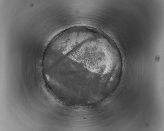 X0000112020434200908241518