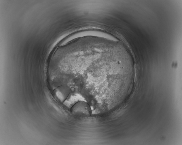 X0000112020435200908241518