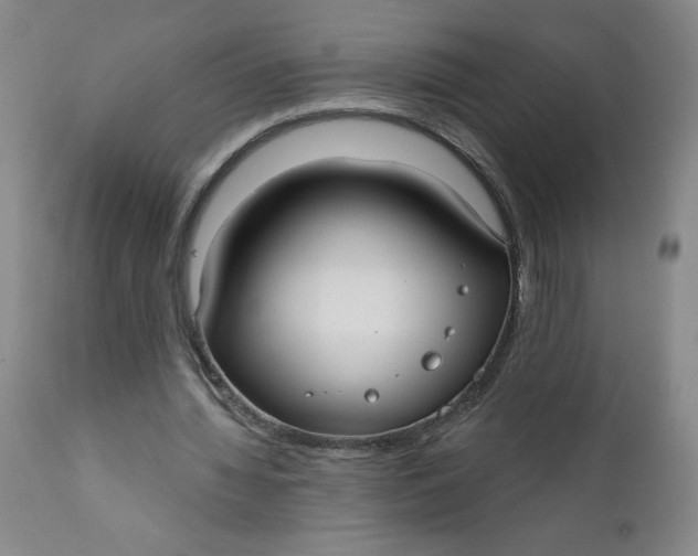 X0000112020436200908241518