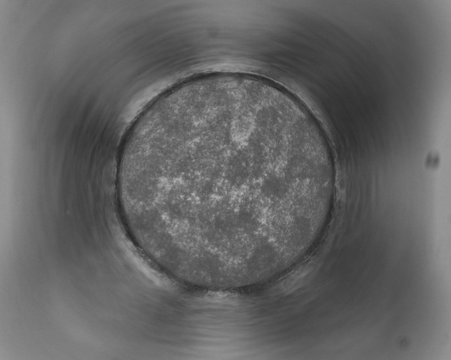 X0000112020437200908241518