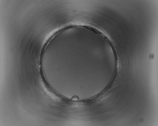 X0000112020438200908241518