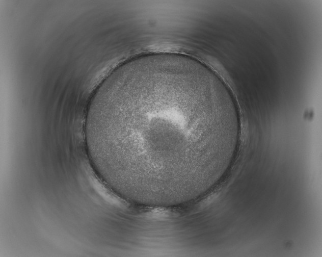 X0000112020441200908241518