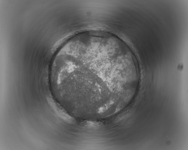 X0000112020442200908241518