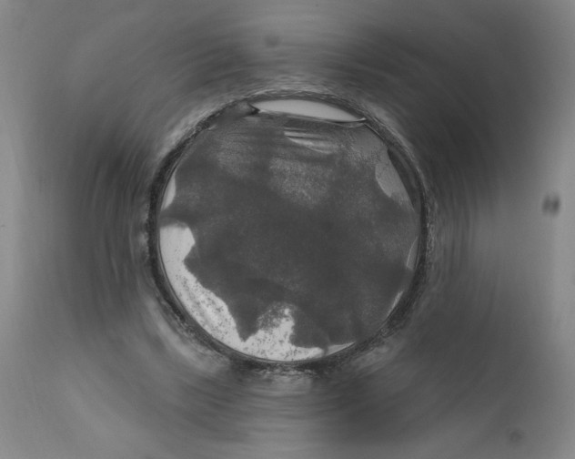 X0000112020443200908241518