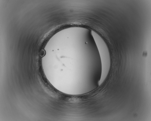 X0000112020444200908241518