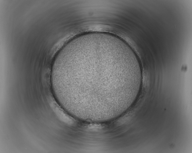 X0000112020445200908241518