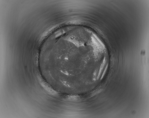 X0000112020446200908241518