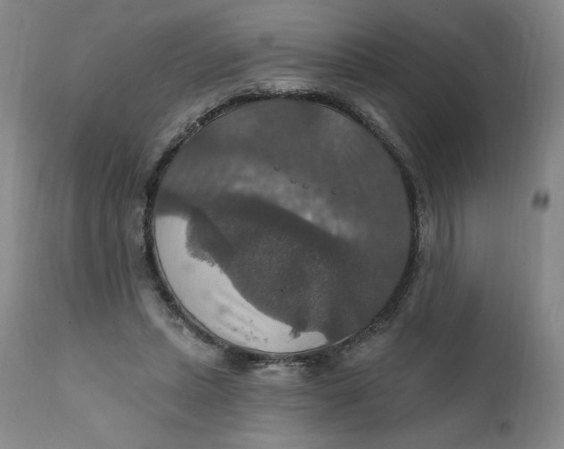 X0000112020447200908241518