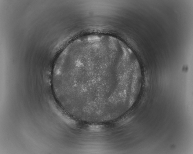 X0000112020450200908241518