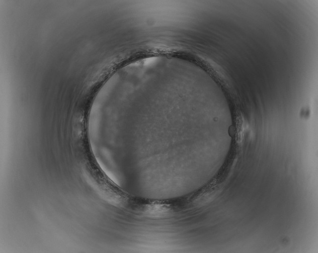 X0000112020451200908241518