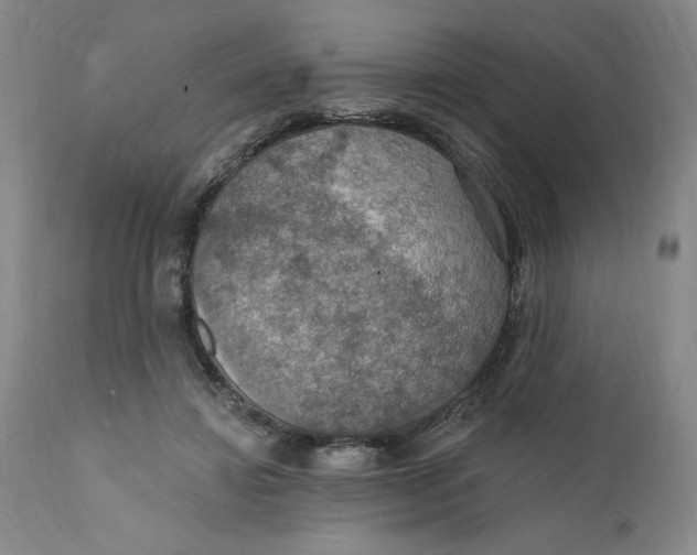 X0000112020452200908241518