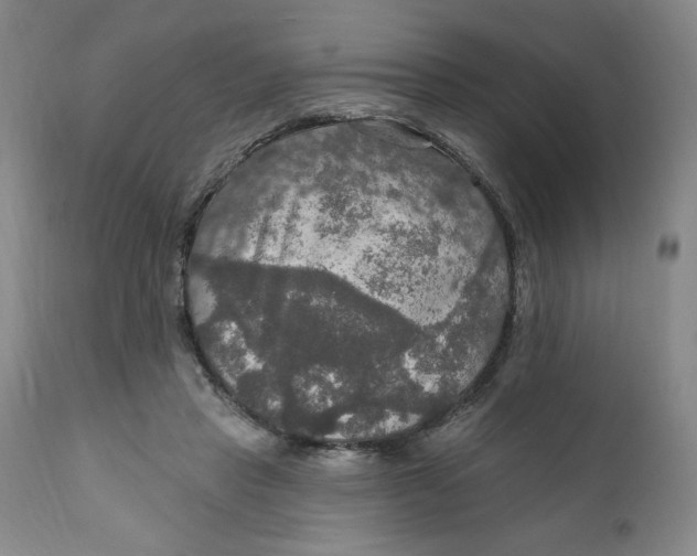 X0000112020453200908241518