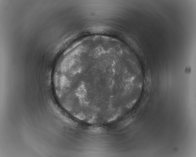 X0000112020454200908241518