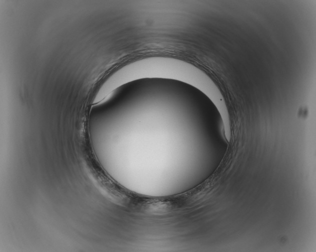 X0000112020456200908241518