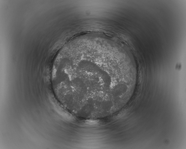 X0000112020457200908241519