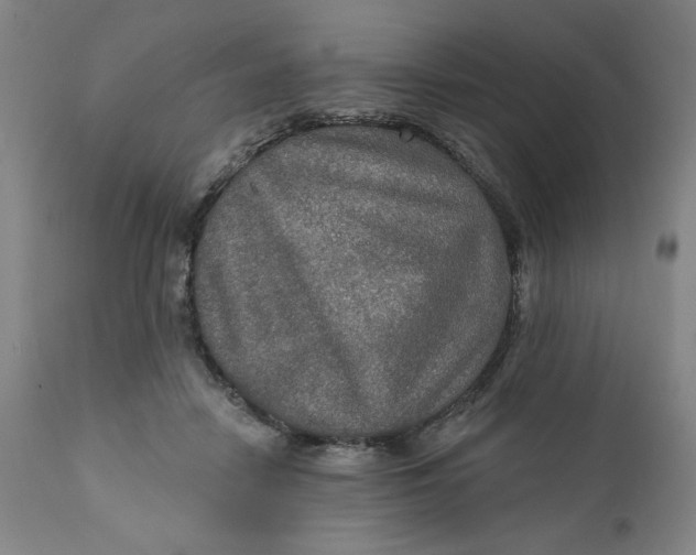 X0000112020458200908241519