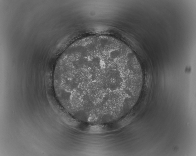 X0000112020461200908241519