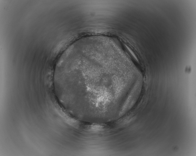 X0000112020462200908241519