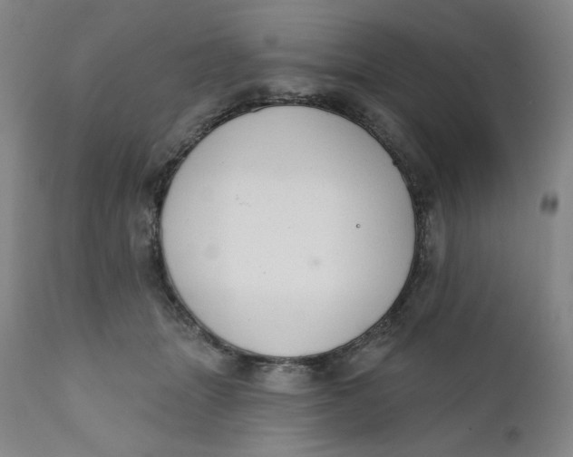 X0000112020463200908241519