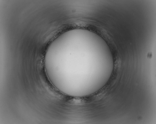 X0000112020464200908241519