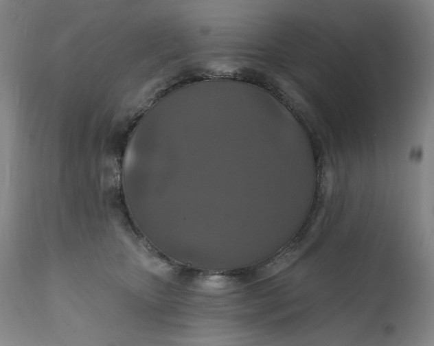 X0000112020467200908241519