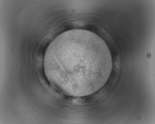 X0000112020468200908241519