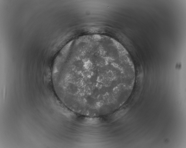 X0000112020469200908241519