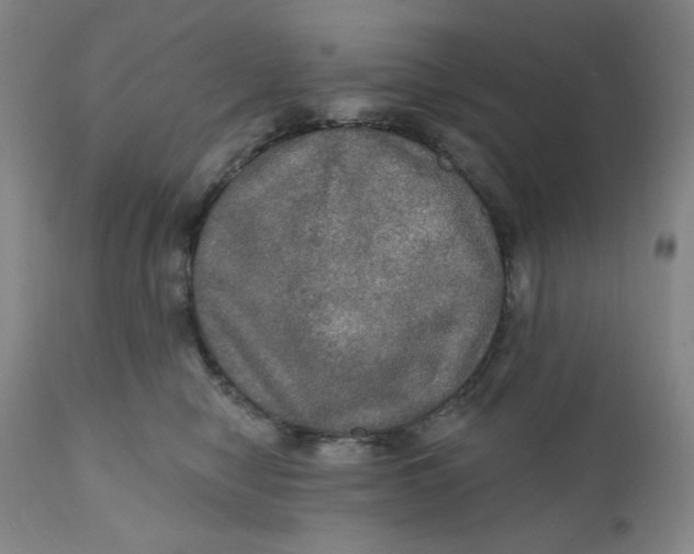 X0000112020470200908241519