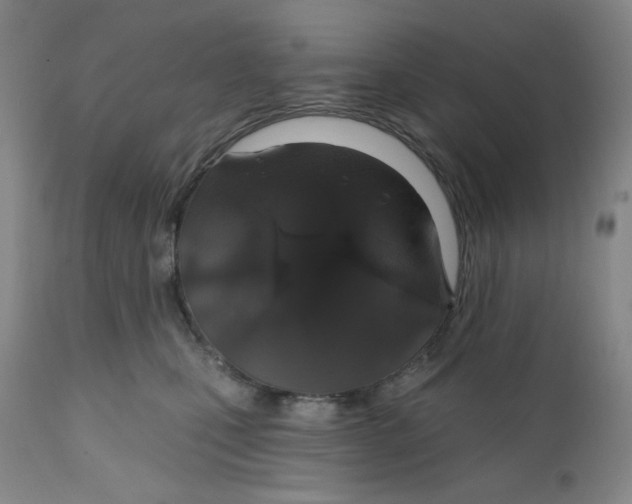 X0000112020471200908241519