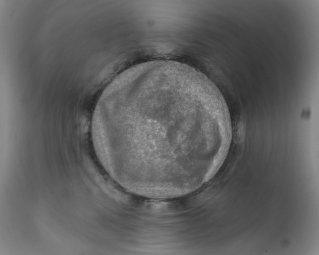 X0000112020472200908241519